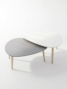 Modern Coffee Table Set ( 2 Pieces )